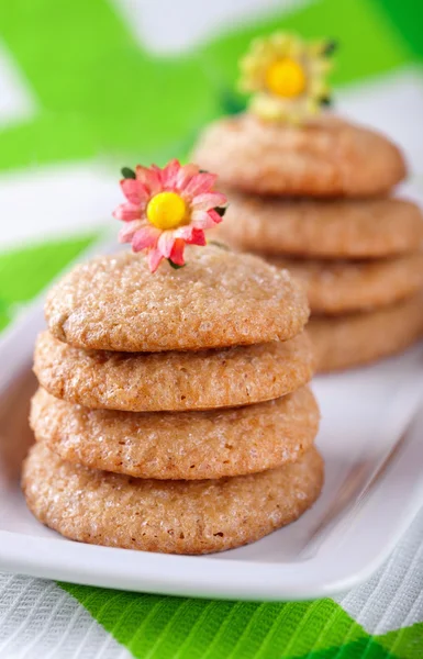 Homemade ginger cookies — Stock Photo, Image