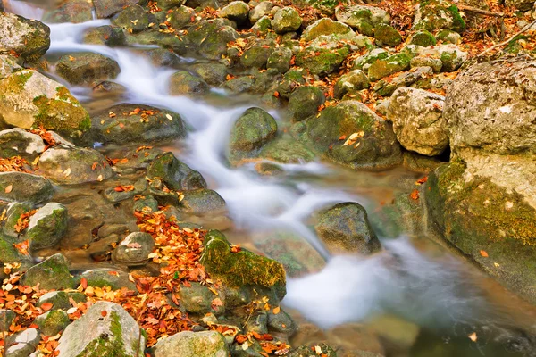 Autumn mountain rivulet — Stock Photo, Image