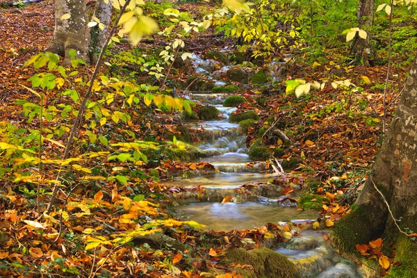 Herbst-Bergkaskade — Stockfoto