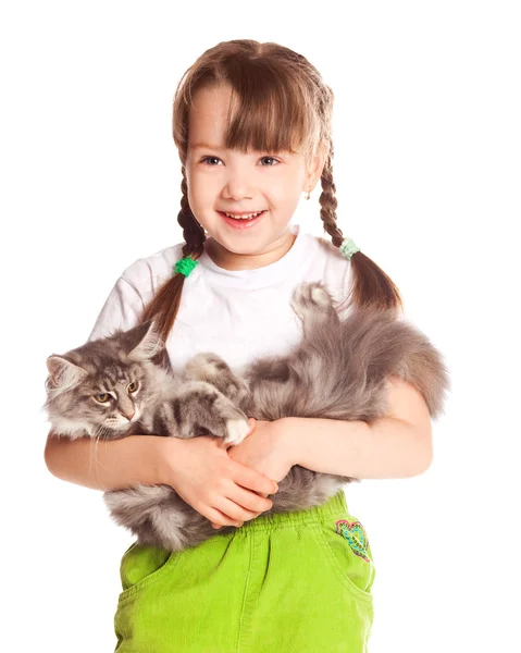 Дівчина з кішкою — стокове фото