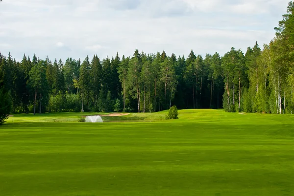 골프 필드 — 스톡 사진