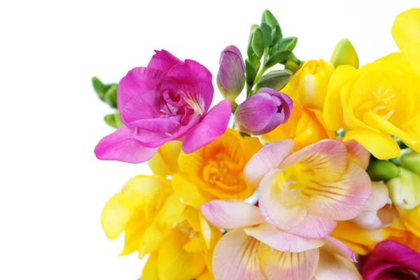 Flores freesia — Fotografia de Stock