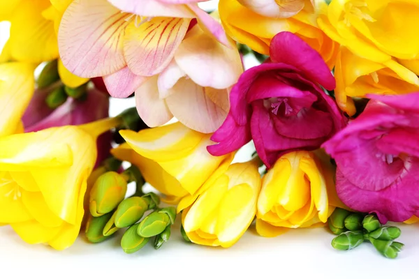 Fresia's bloemen — Stockfoto
