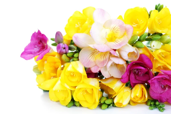 Frézie květiny — Stock fotografie