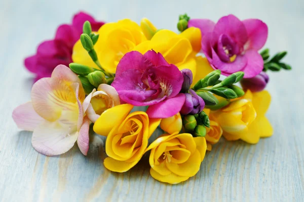 Flores de freesia —  Fotos de Stock
