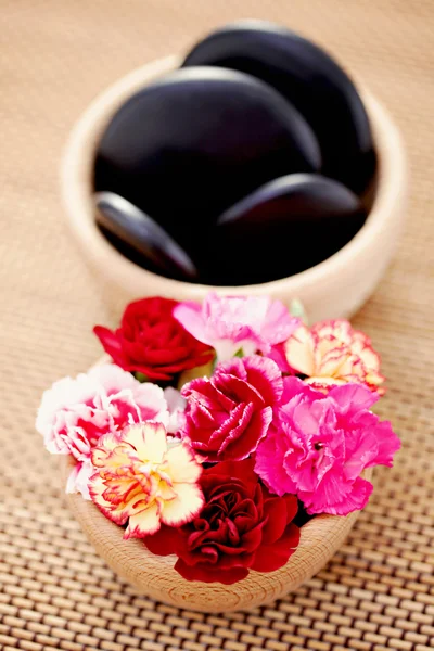 Carnations and pebbles — Stock Photo, Image