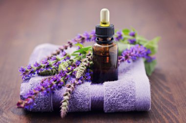 Sage essential oil clipart