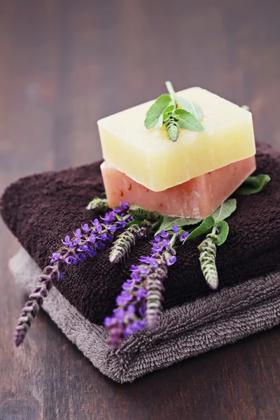 Sage soap — Stock Photo, Image