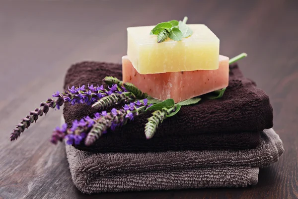 Sage soap — Stock Photo, Image