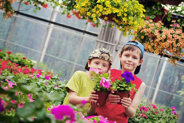 stock image Gardeners