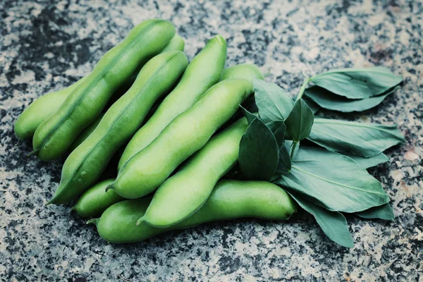 Fresh broad beans — Stock Photo, Image