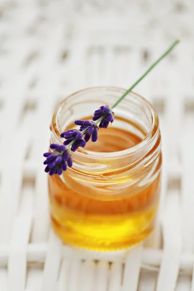 허브 꿀 — 스톡 사진