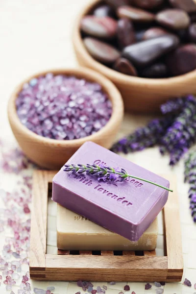 Lavender beauty — Stock Photo, Image