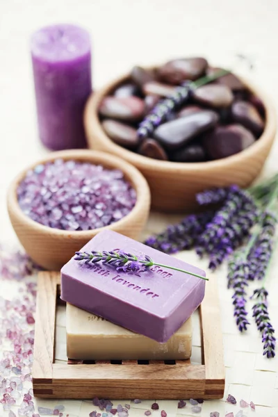 Lavendel skönhet — Stockfoto