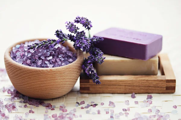 Lavendel schoonheid — Stockfoto