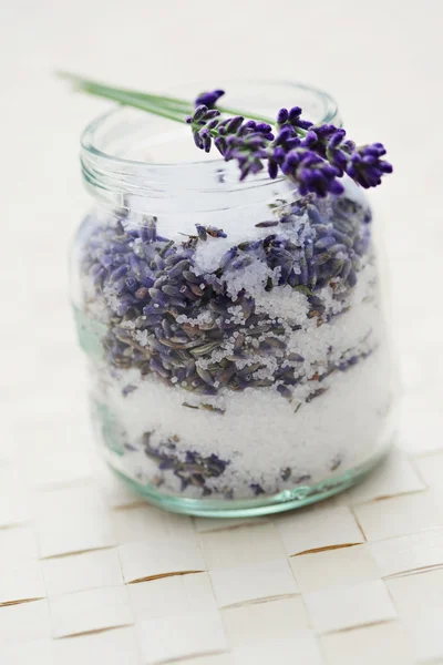 Lavender sugar — Stock Photo, Image