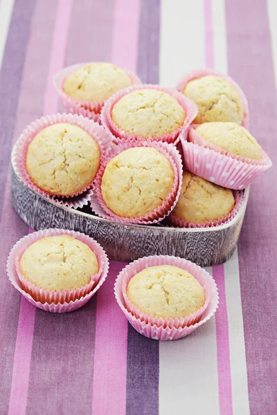 Muffins de coco — Foto de Stock