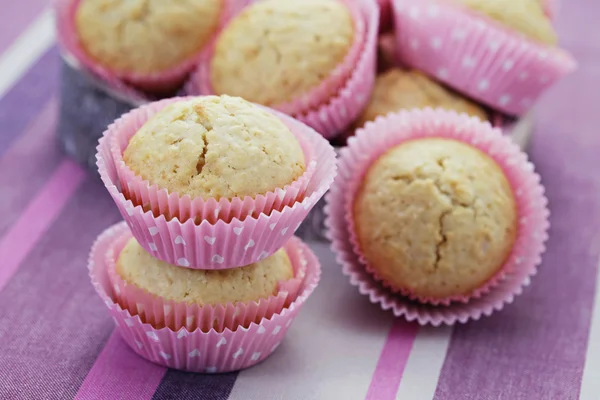 Kokos muffins — Stockfoto