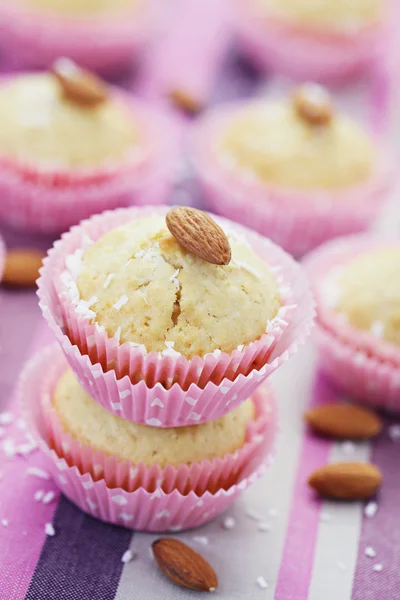 Kokos muffins — Stockfoto