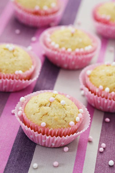 Coconut muffins — Stock Photo, Image