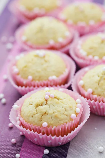 Kokosnoot muffins — Stockfoto
