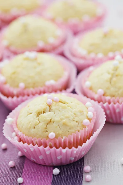 Muffins de coco — Fotografia de Stock