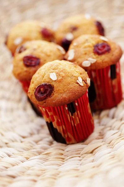 Muffin, áfonyával — Stock Fotó