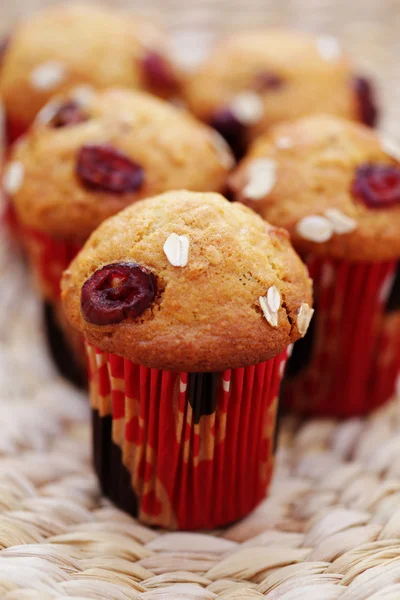 Muffiny z żurawiną — Zdjęcie stockowe