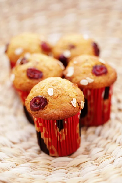 Muffins με βακκίνια — Φωτογραφία Αρχείου