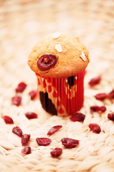 Muffin, áfonyával — Stock Fotó