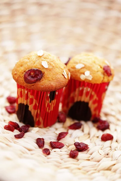 Muffins con arándanos —  Fotos de Stock