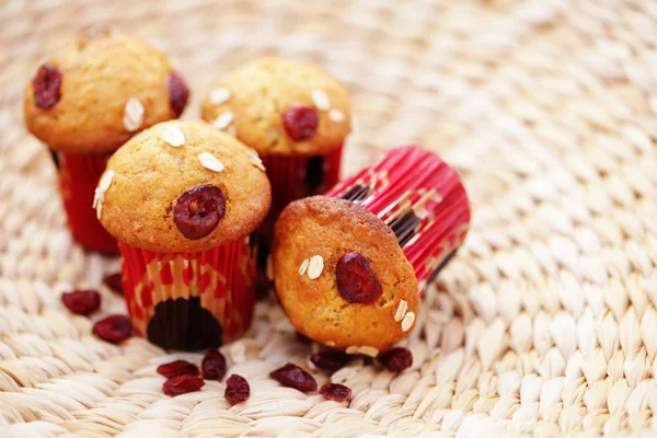 Muffins met veenbessen — Stockfoto