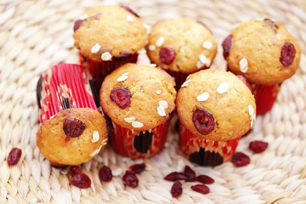 Muffins mit Preiselbeeren — Stockfoto