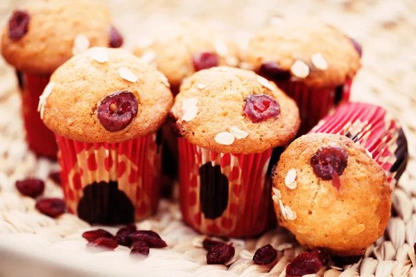 Muffins mit Preiselbeeren — Stockfoto