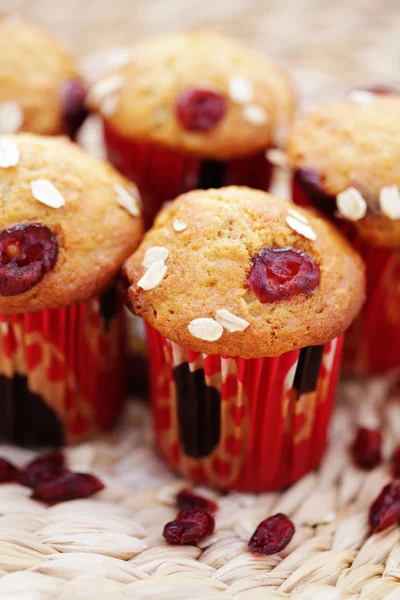 Muffins with cranberries — Stock Photo, Image