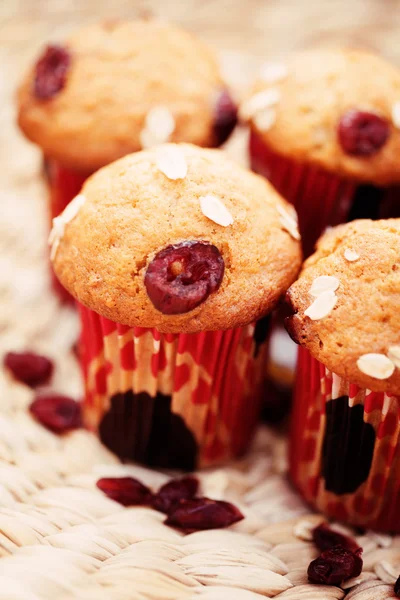 Muffins con arándanos — Foto de Stock