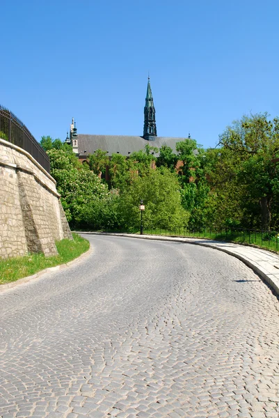 Katedra w Sandomierzu, Polska — Zdjęcie stockowe