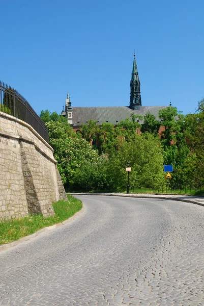 โบสถ์ในแซนโดมูลา ประเทศโปแลนด์ — ภาพถ่ายสต็อก