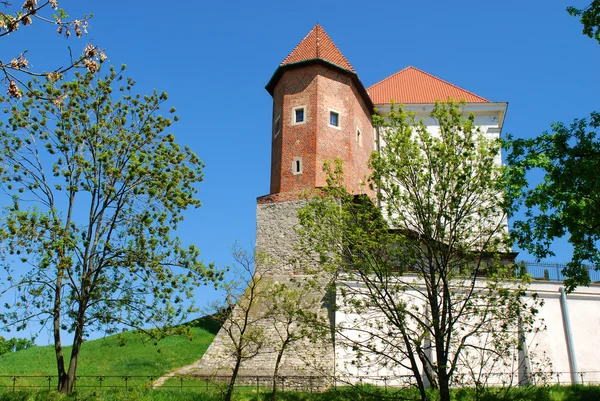 Vieux château à Sandomierz — Photo