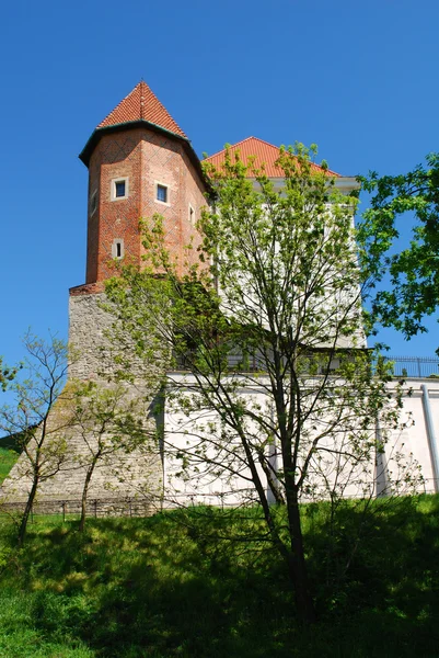 Старый замок в Сандомире — стоковое фото
