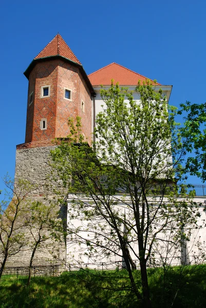 Παλιό κάστρο στο sandomierz — Φωτογραφία Αρχείου
