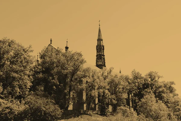 Kathedraal in sandomierz, Polen — Stockfoto