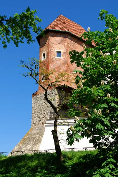 Castelo velho em Sandomierz — Fotografia de Stock