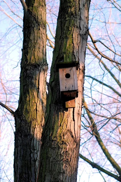 Rustykalne birdhouse — Zdjęcie stockowe