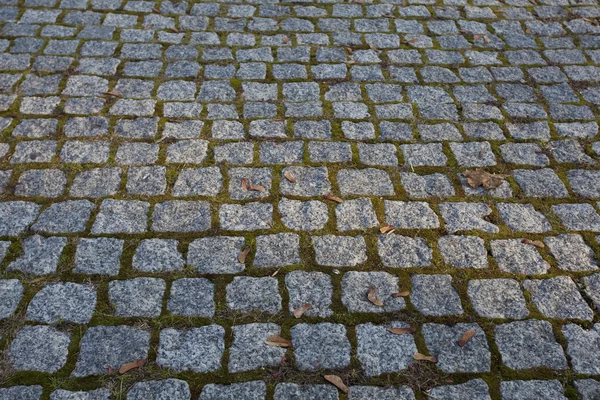 Old paving stone texture — Stock Photo, Image