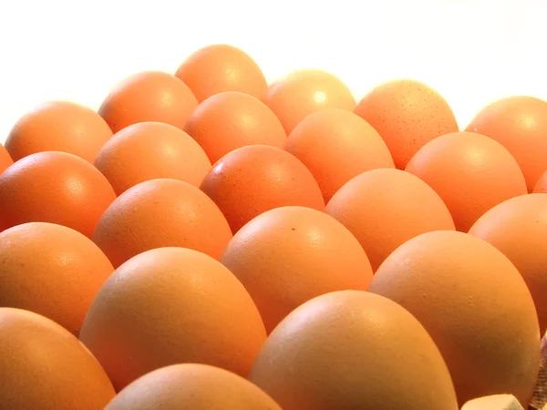 Яйца на подносе . — стоковое фото