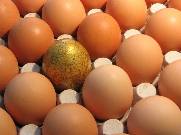 Золоті яйця . — стокове фото