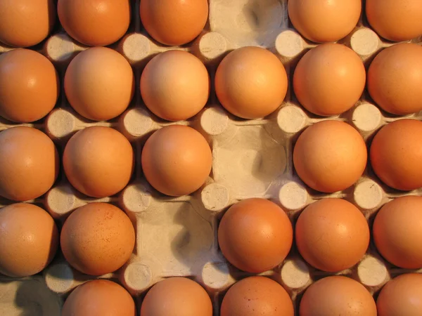 Vajíčka na zásobník. — Stock fotografie