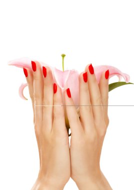 Red nails clipart