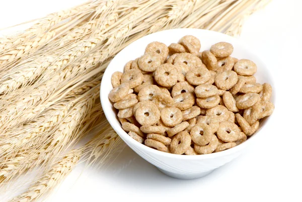 Orelhas de cereais e trigo sobre fundo branco — Fotografia de Stock